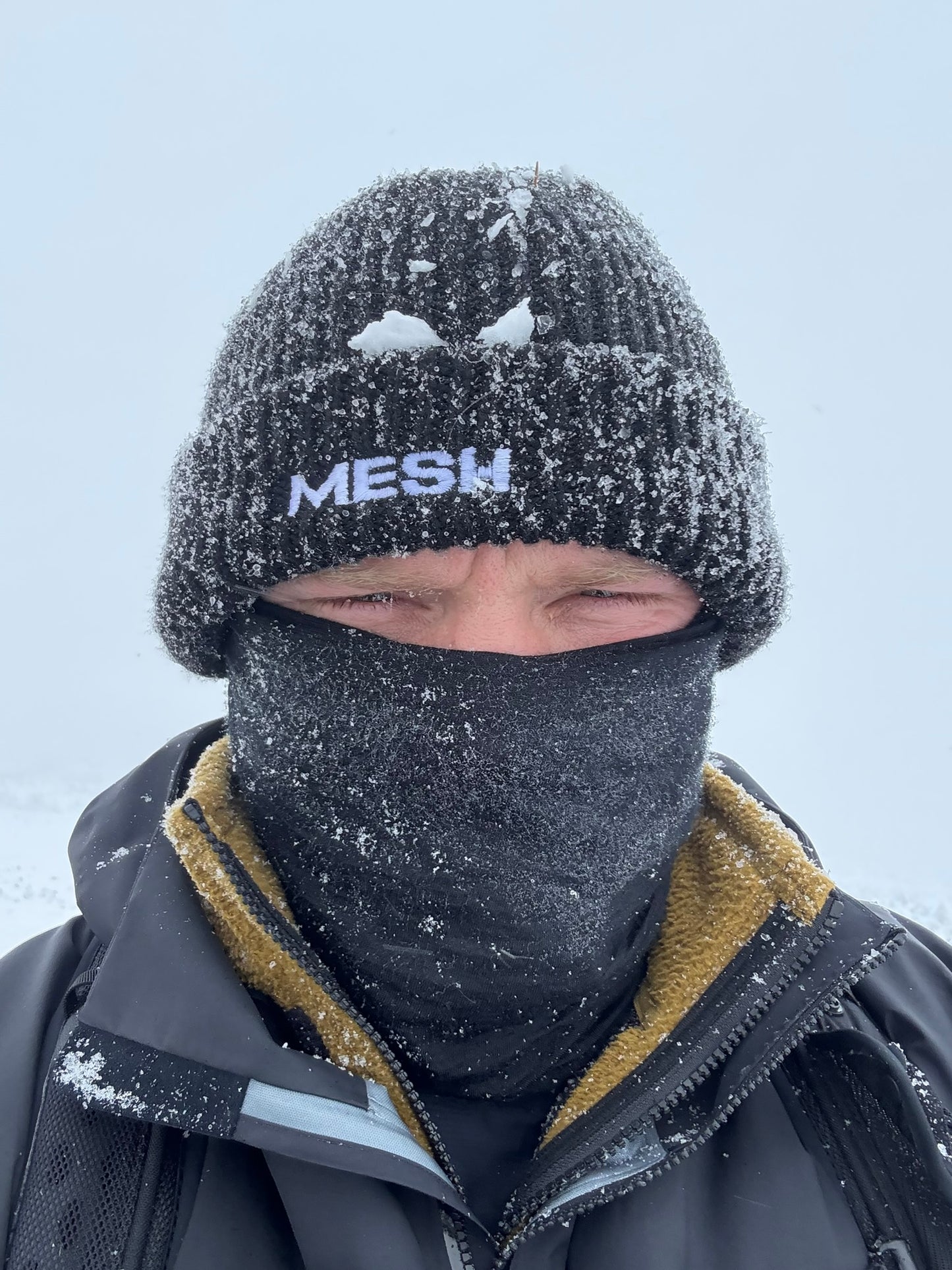 MESH Mountain Elements Beanie - Black / Green